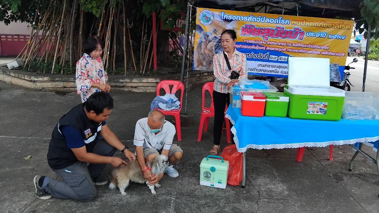 โครงการสัตว์ปลอดโรคคนปลอดภัยจากโรค พิษสุนัขบ้า ประจำปี 2567 ตามพระปณิธาน ศาสตราจารย์ ดร. สมเด็จพระเจ้าน้องนางเธอ เจ้าฟ้าจุฬาภรณวลัยลักษณ์…